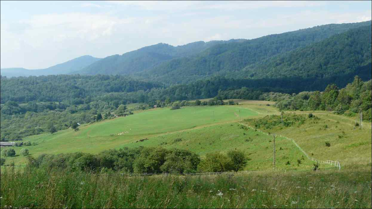 P1120533