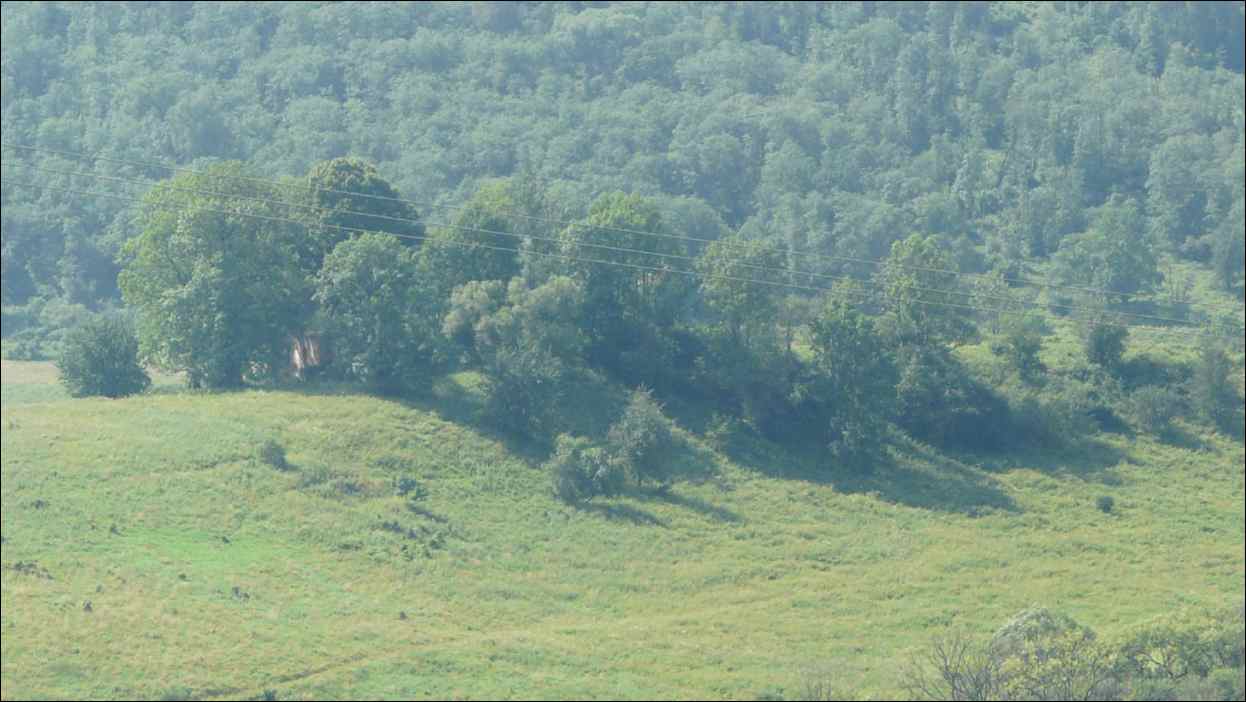 P1120535