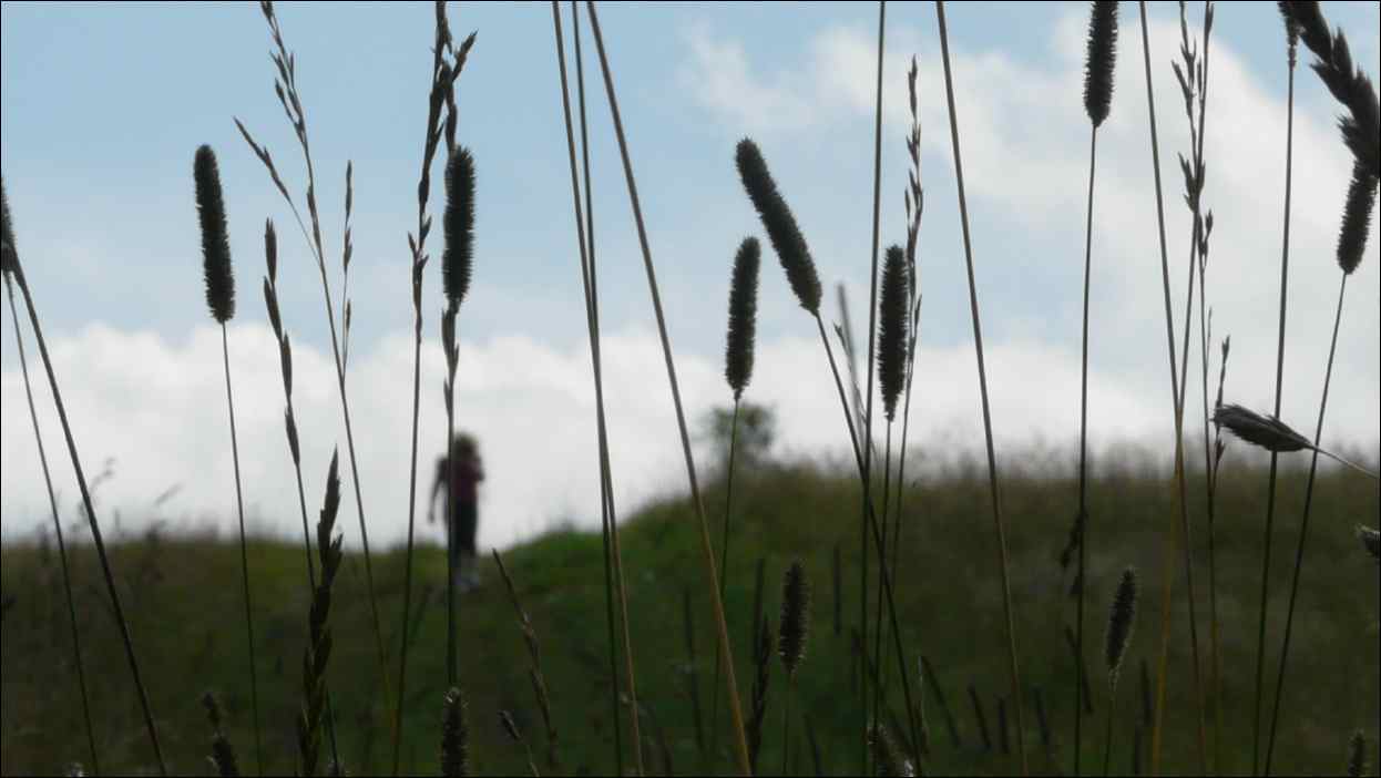 P1120536
