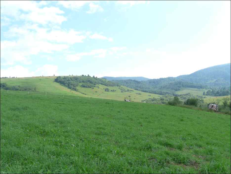 P1120541