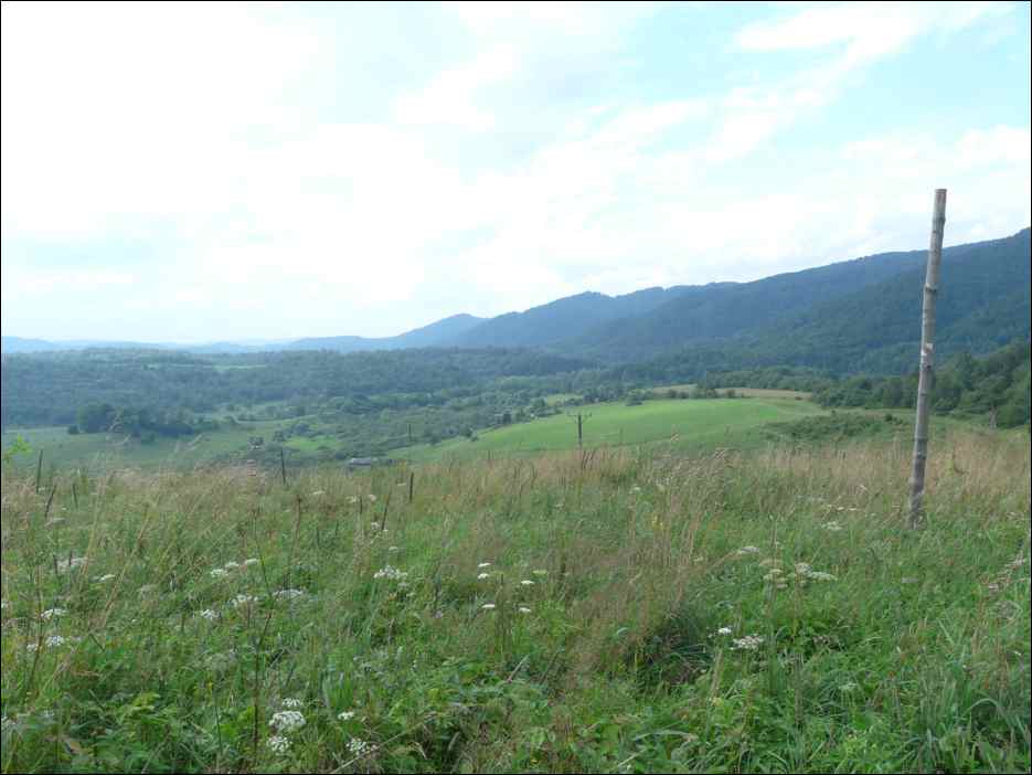 P1120542