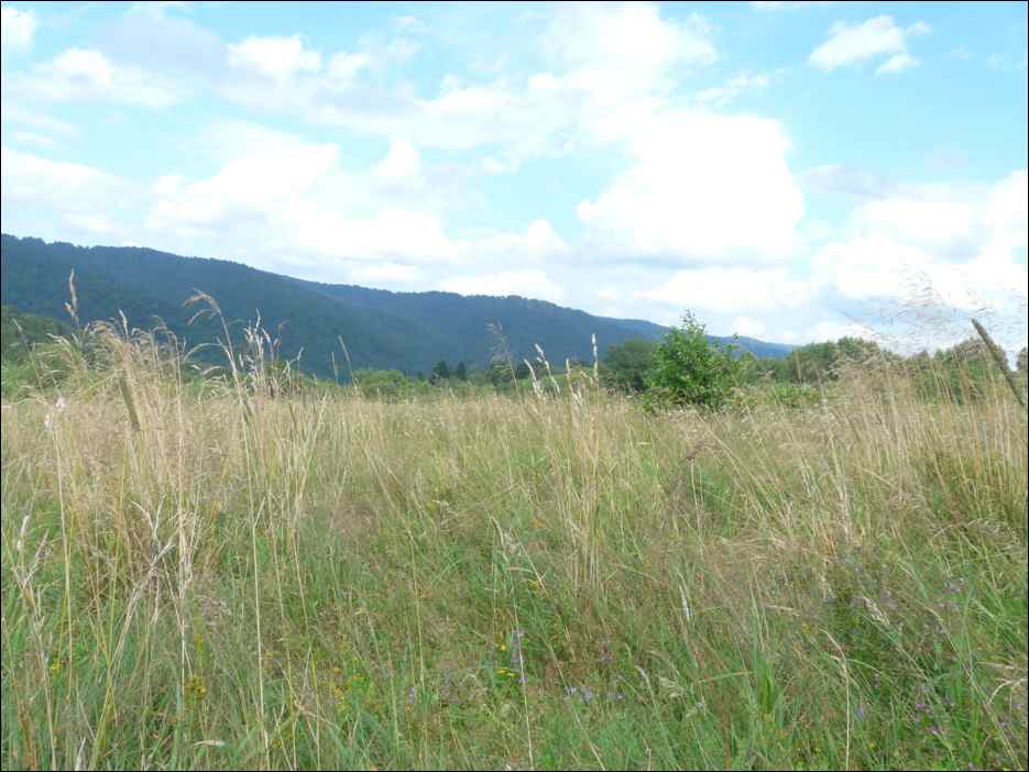P1120544