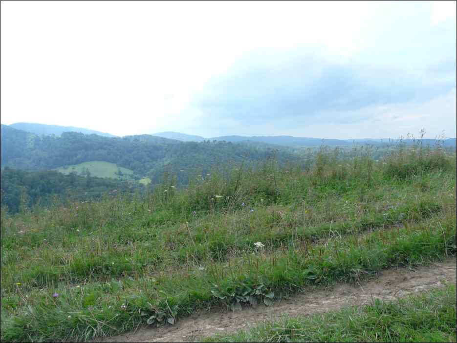P1120546