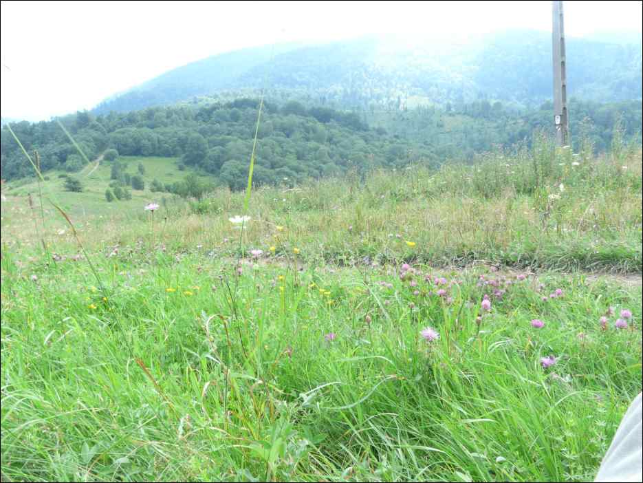 P1120547