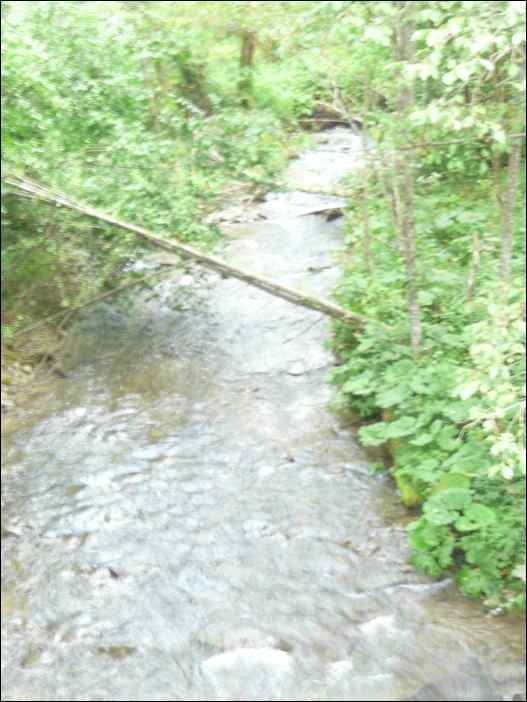 P1120550