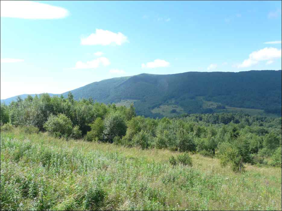 P1120618