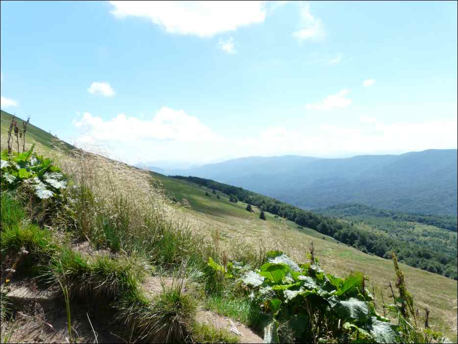 P1120631