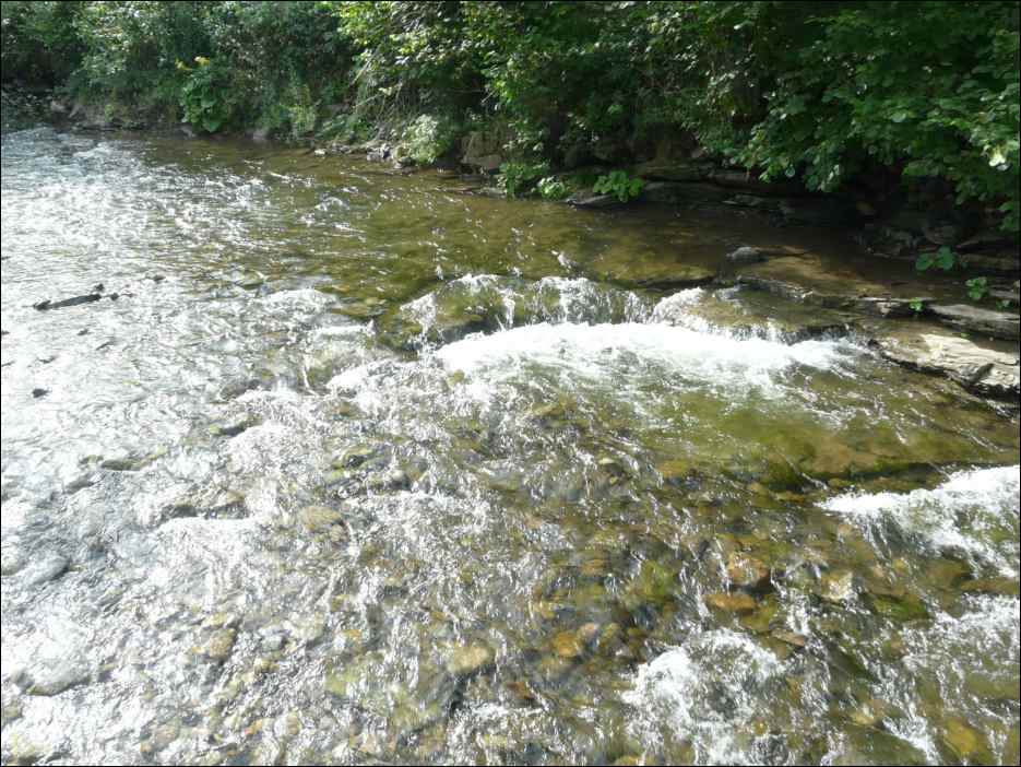 P1120673