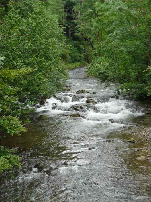 P1080277