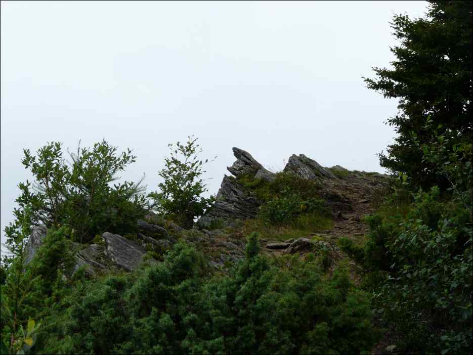 P1080283