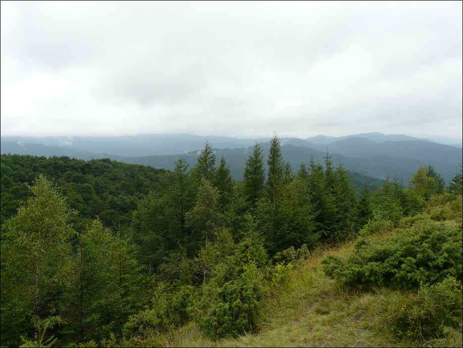 P1080291