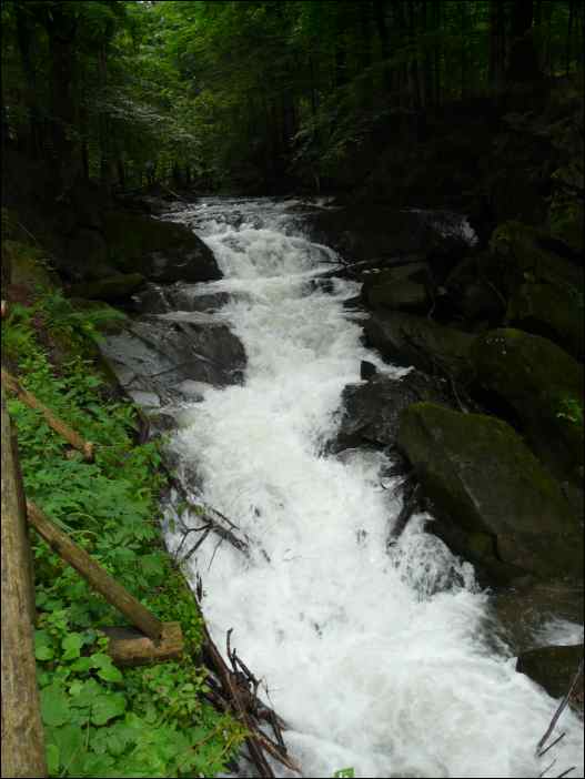 P1080299