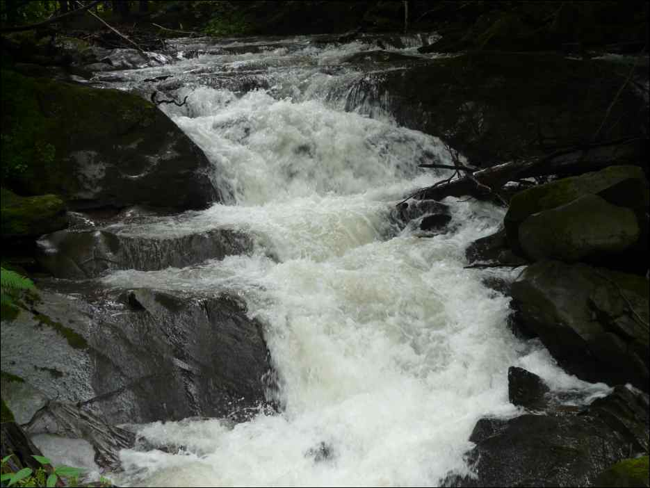 P1080300