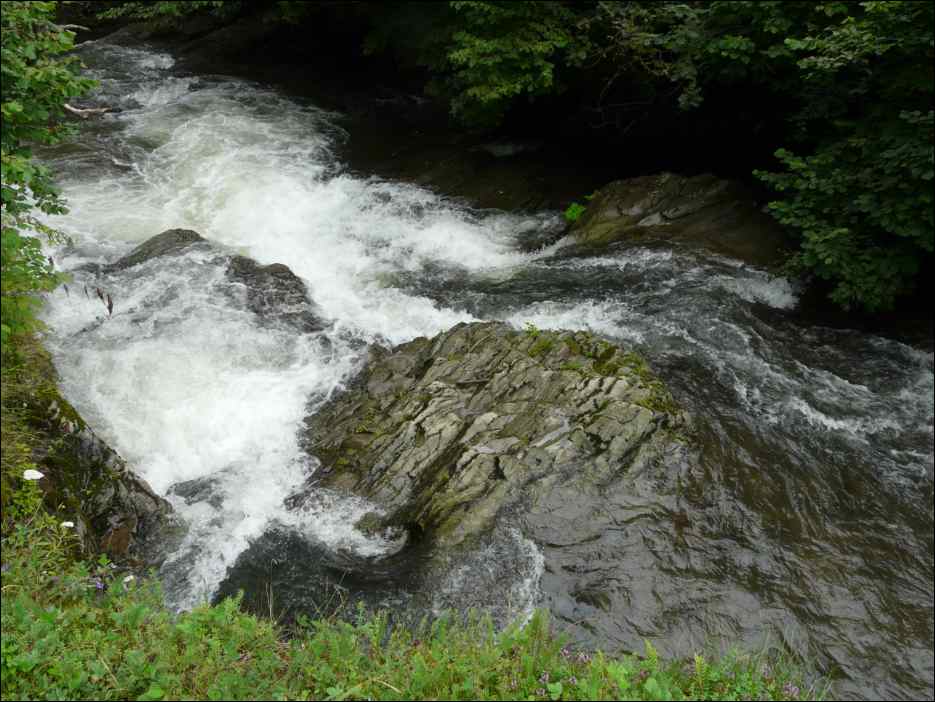 P1080341