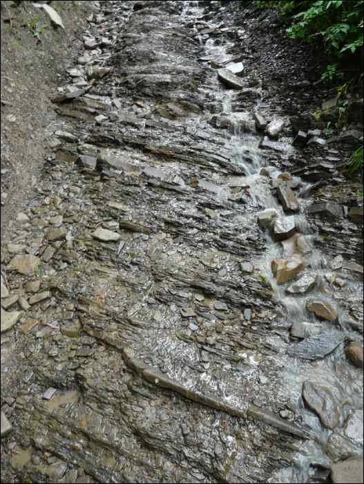 P1080347
