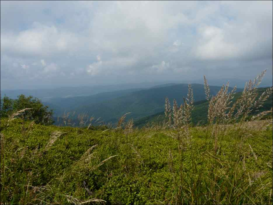 P1080358