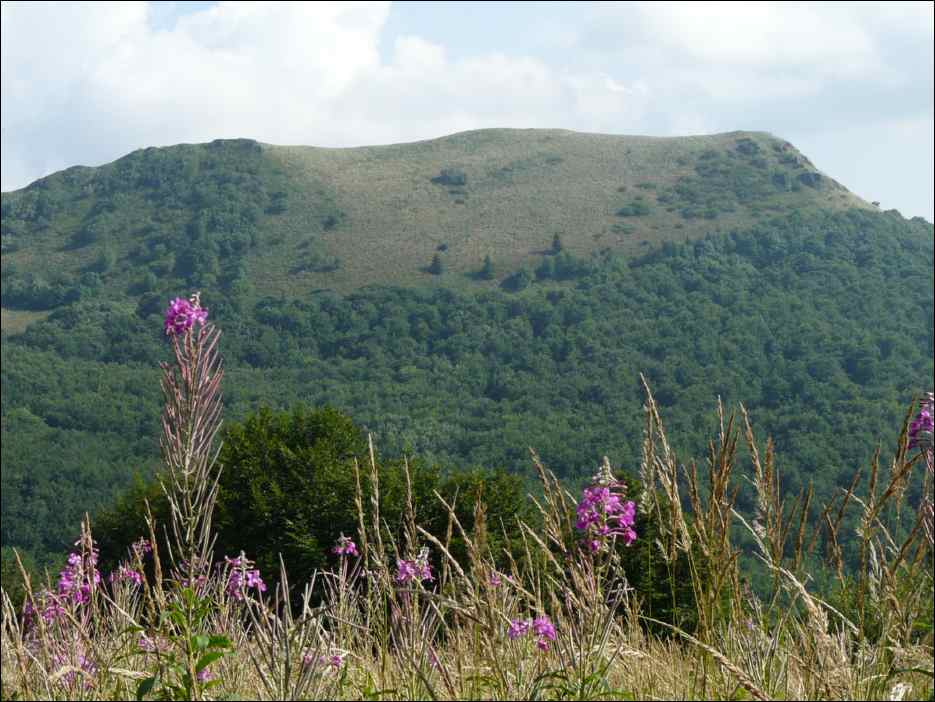P1080376