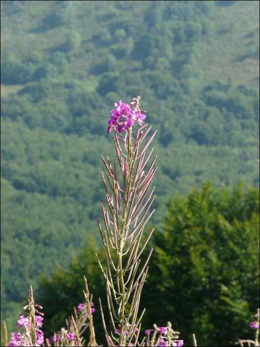 P1080377