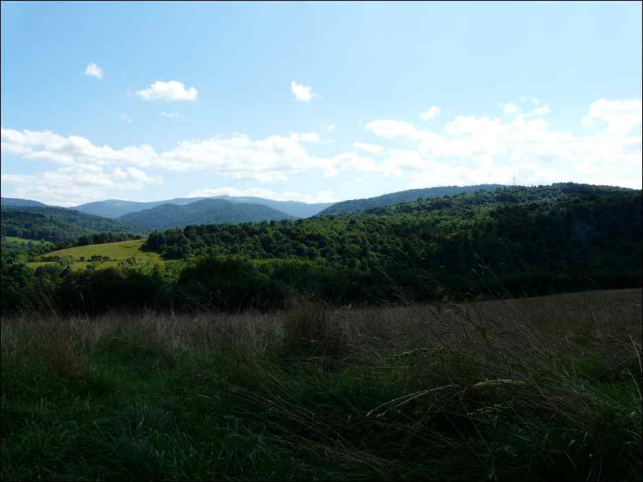 P1080390