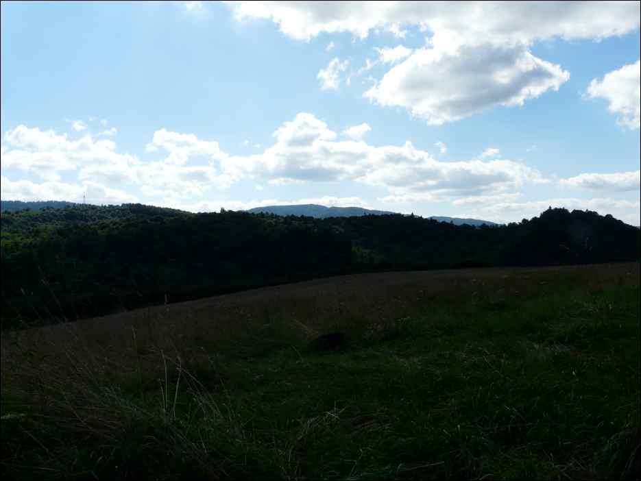 P1080391