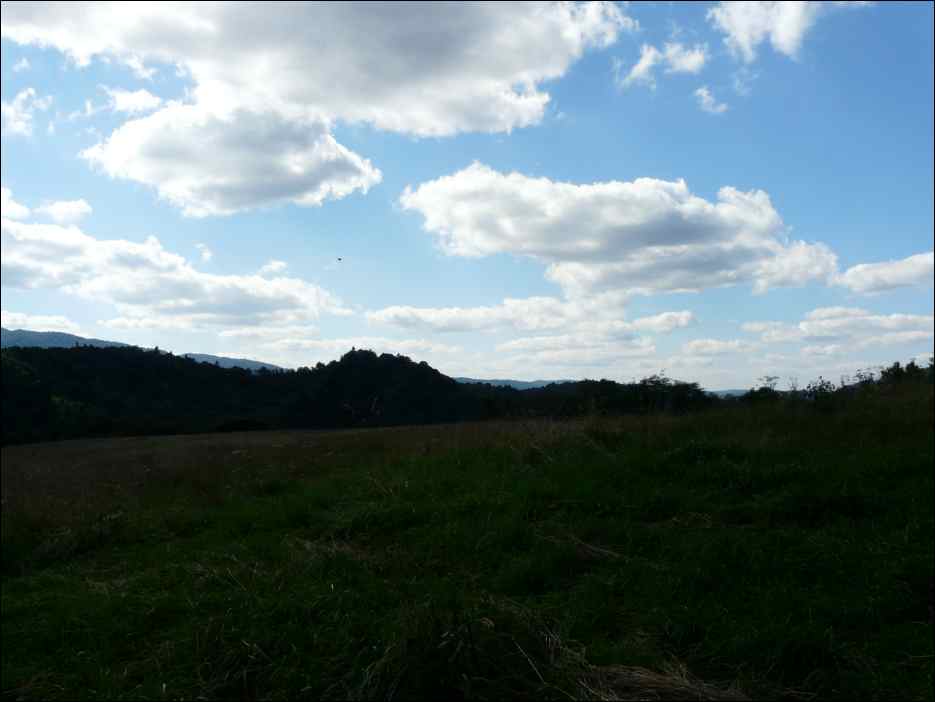 P1080392