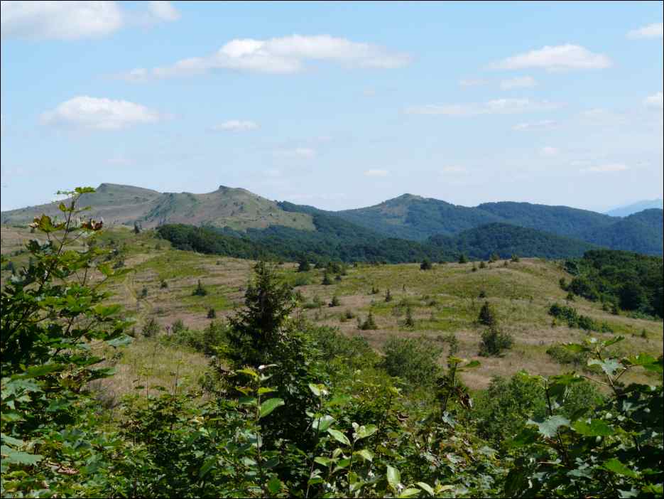 P1080411