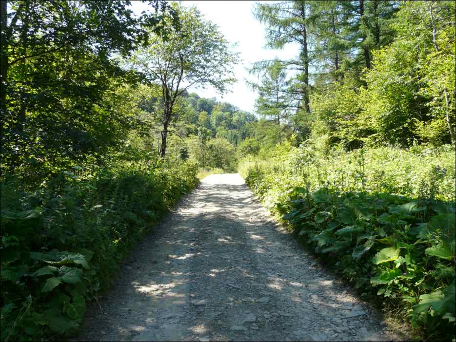 P1080467