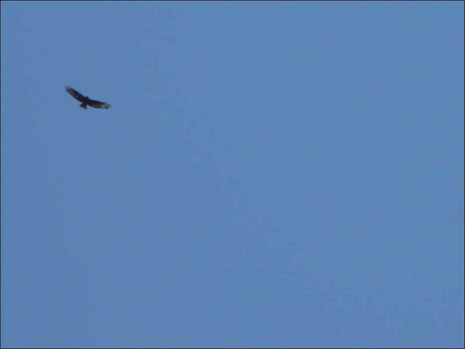 P1080470