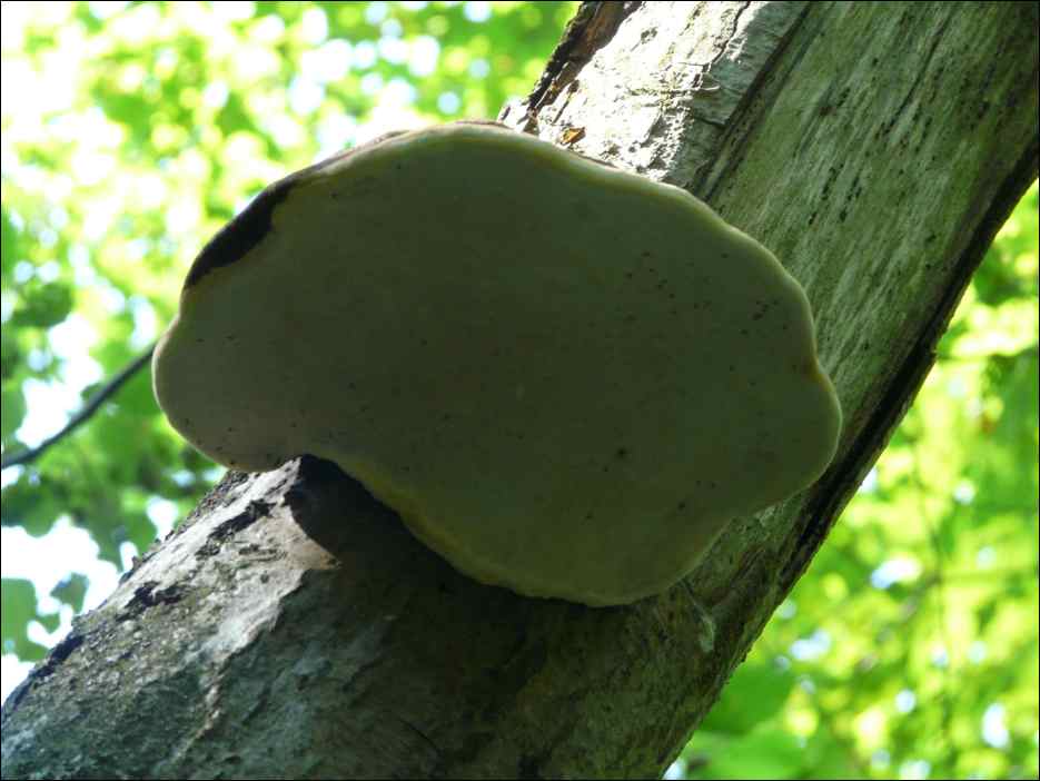 P1080495