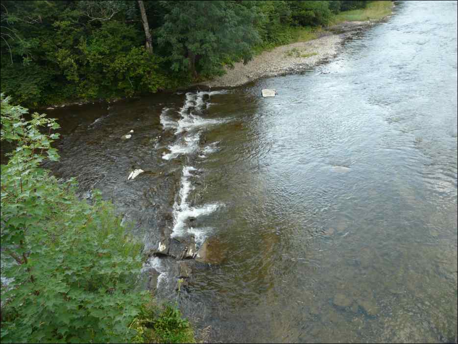 P1080520