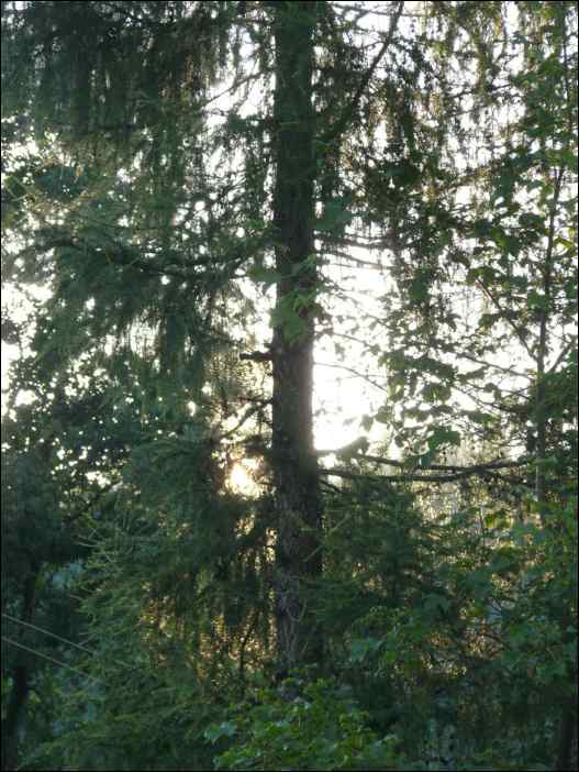 P1080539