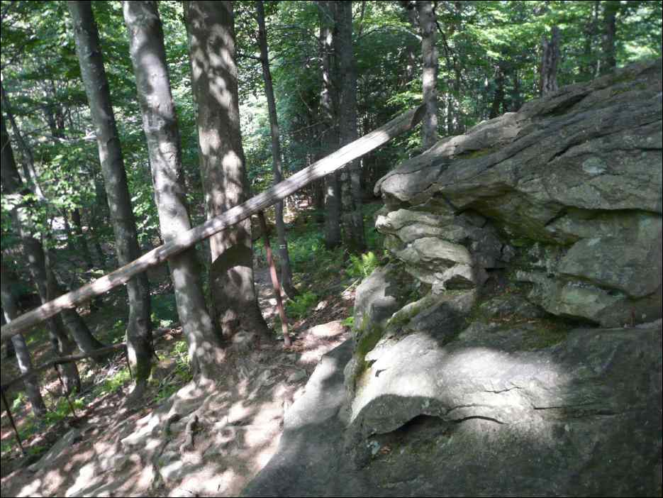 P1090784