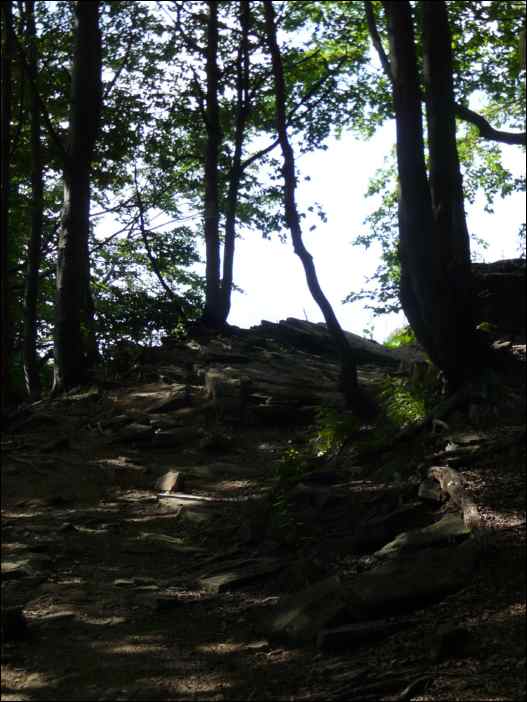 P1090789