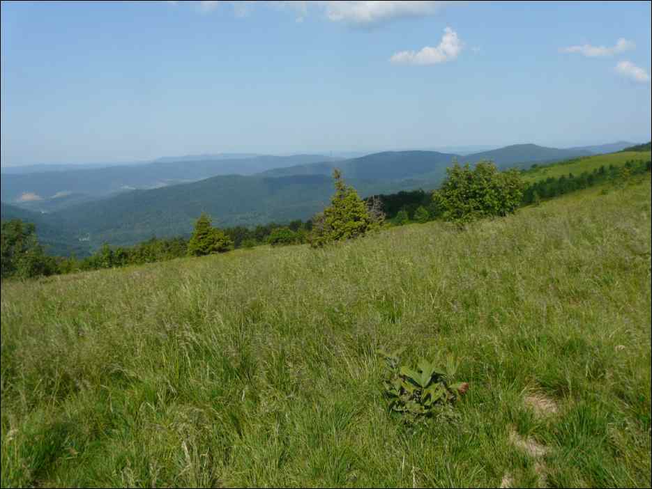 P1090794