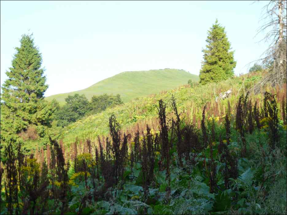 P1090819