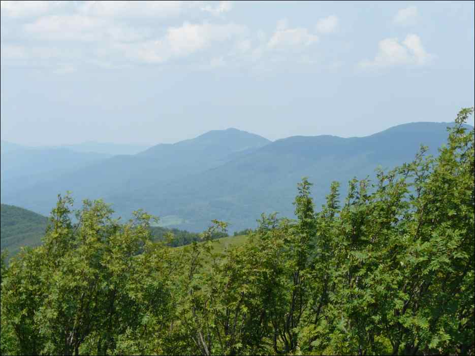 P1090866