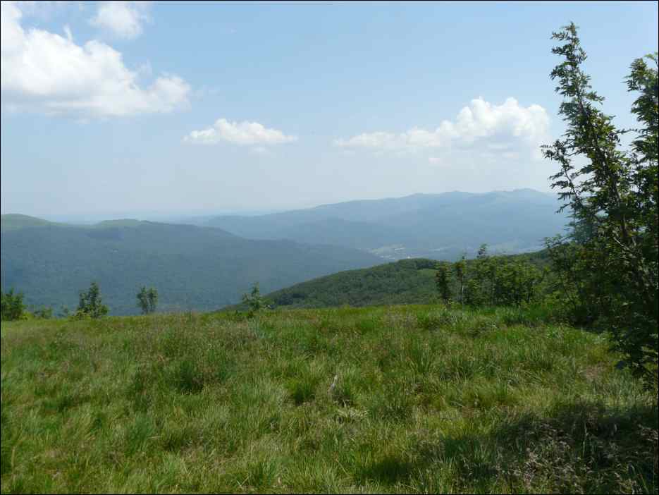 P1090869