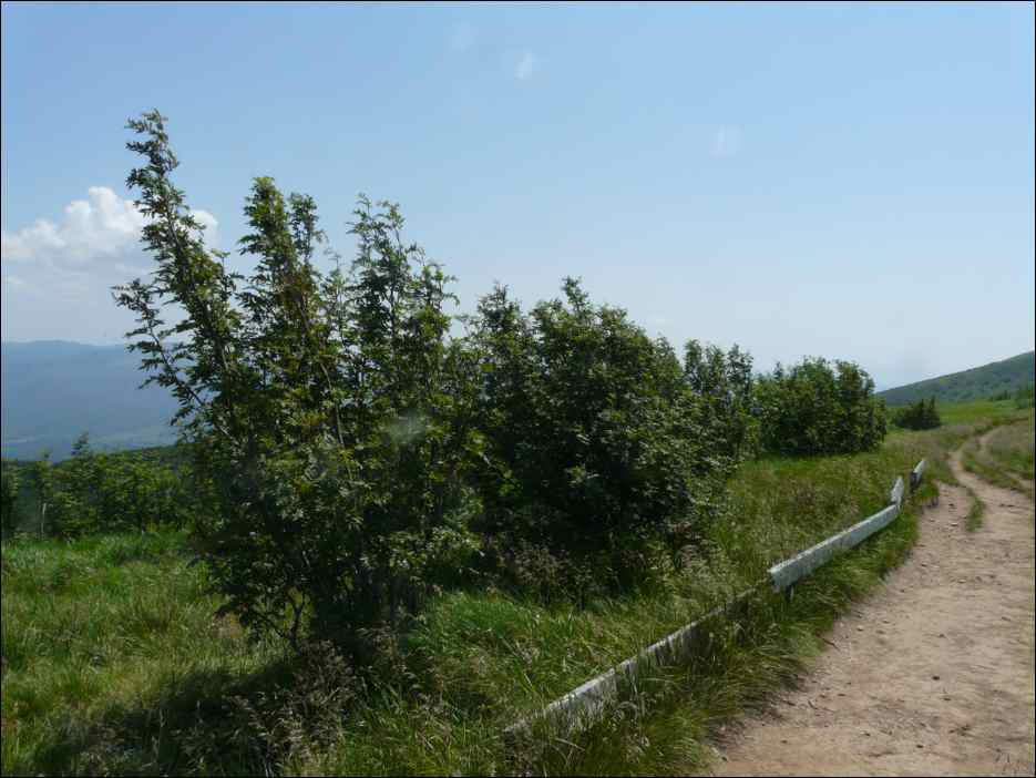 P1090876