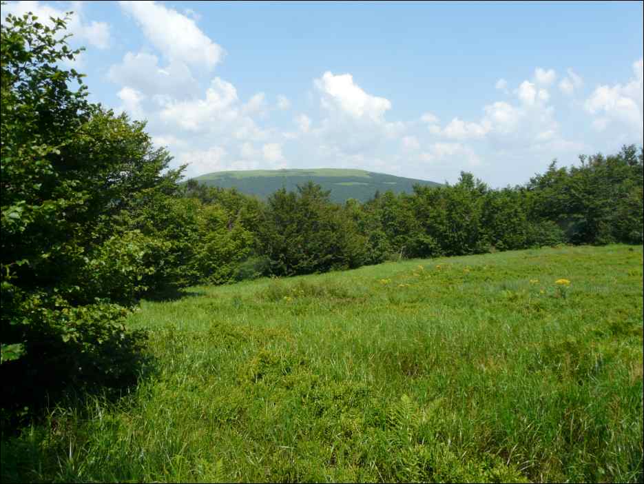 P1090898