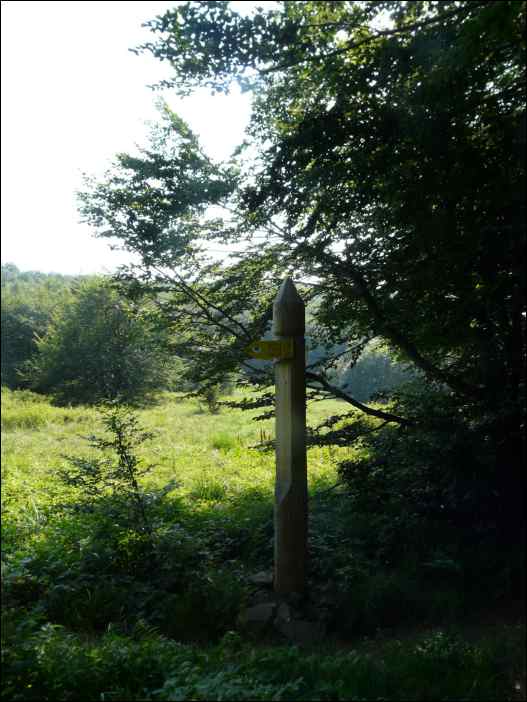 P1090907