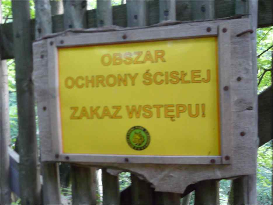 P1090927
