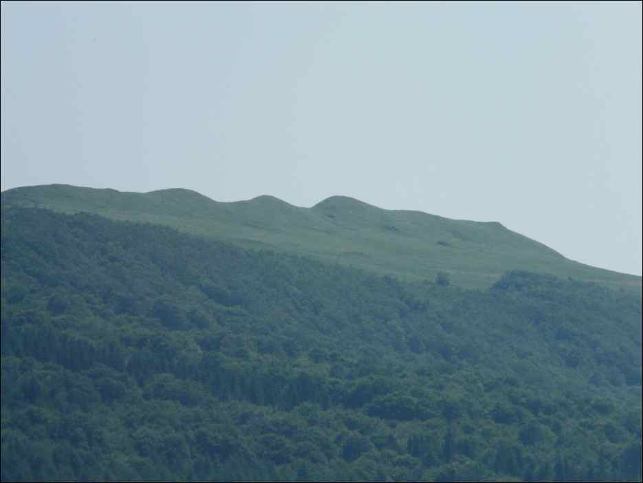 P1090931
