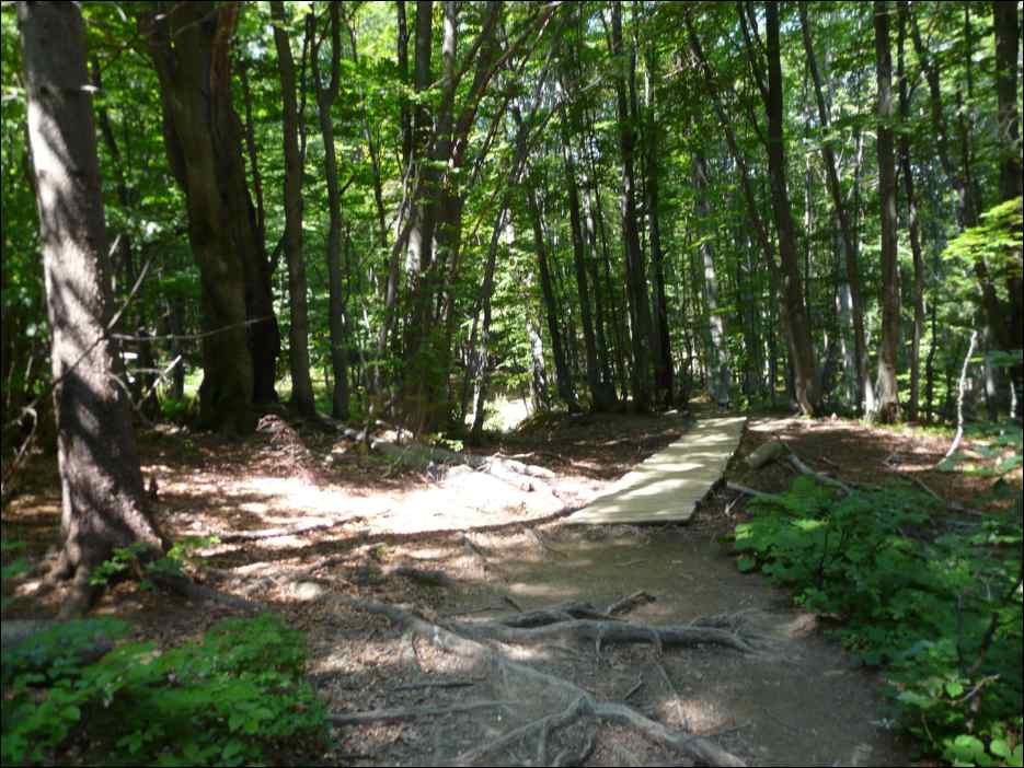 P1090932