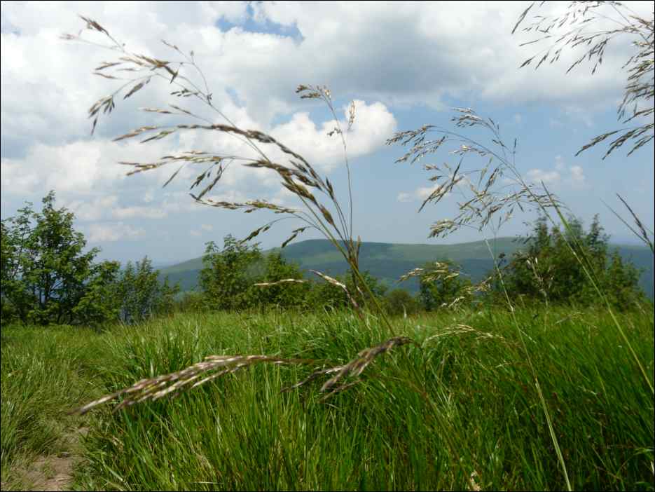 P1090938