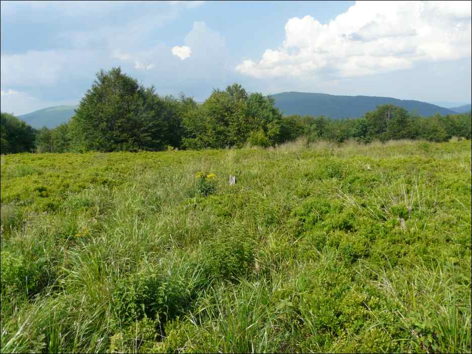 P1090957