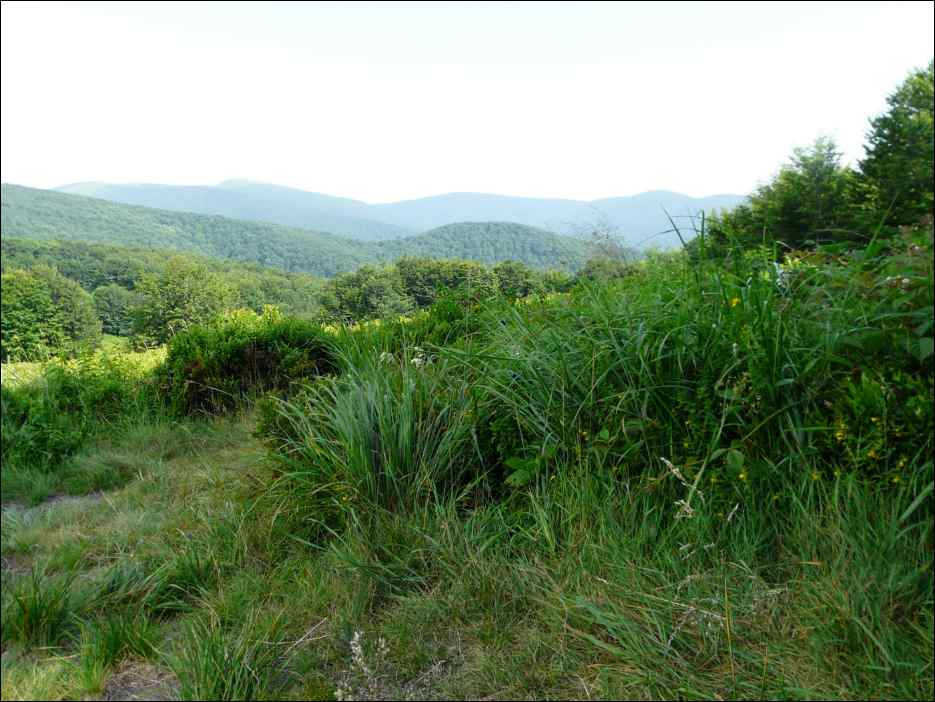 P1090961