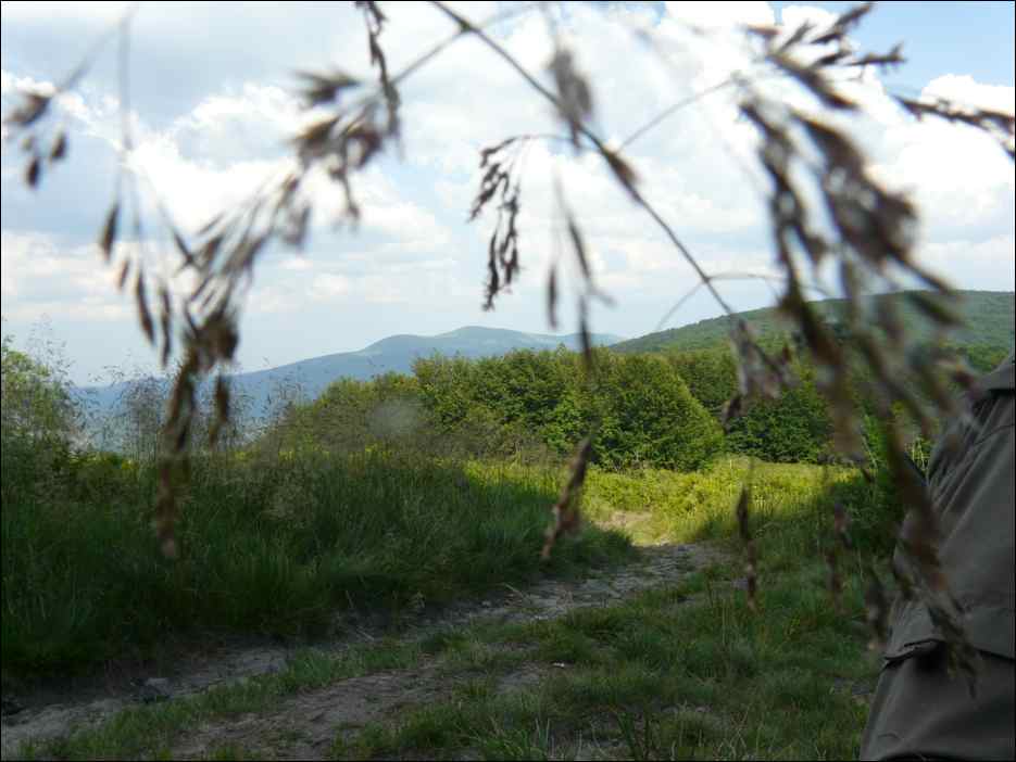 P1090964