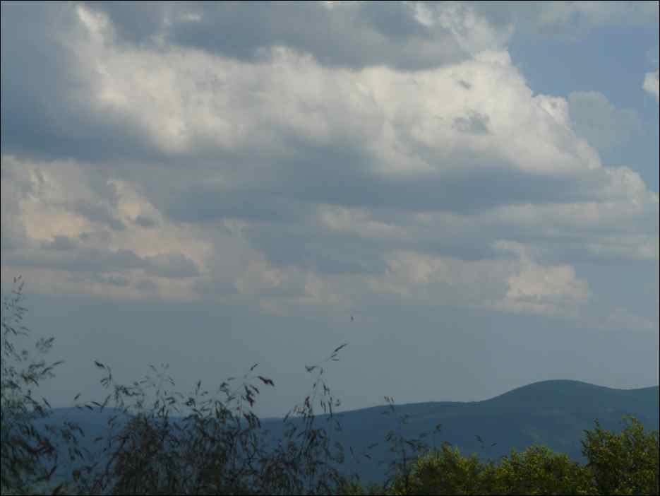 P1090966
