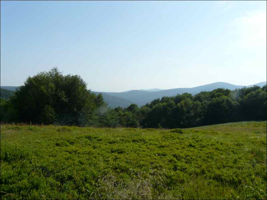 P1090975