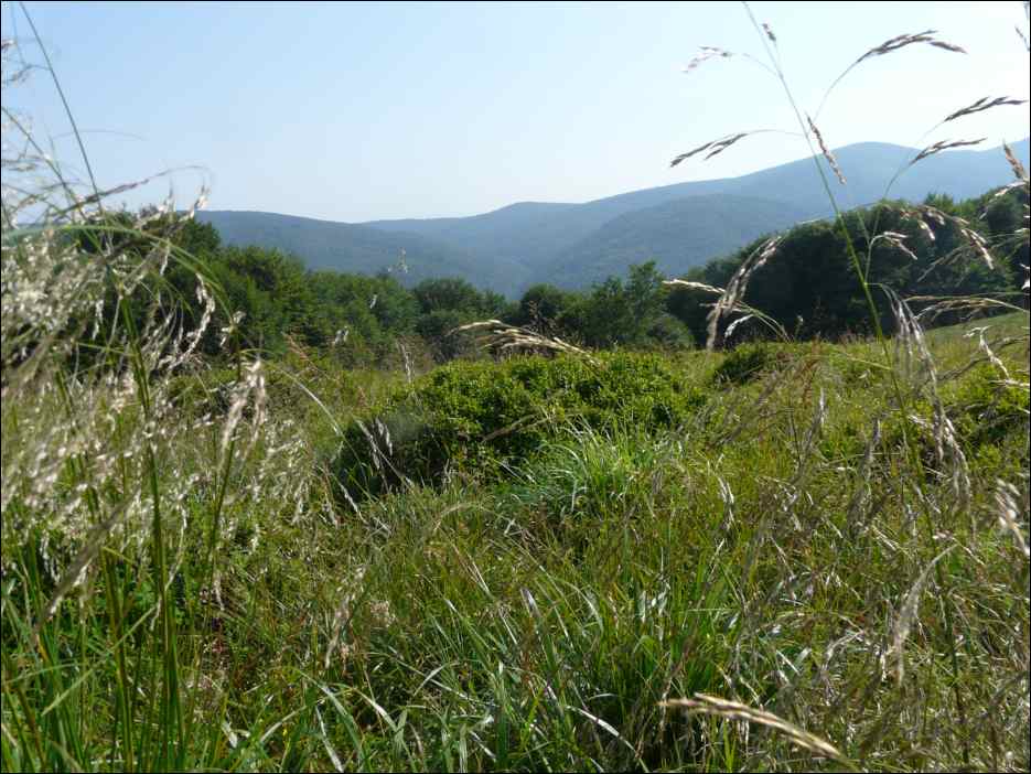 P1090979